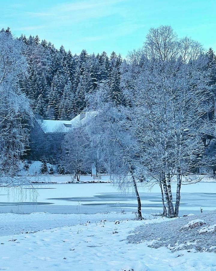 Lakeside Apartments Seefeld 제펠드 인 티롤 외부 사진